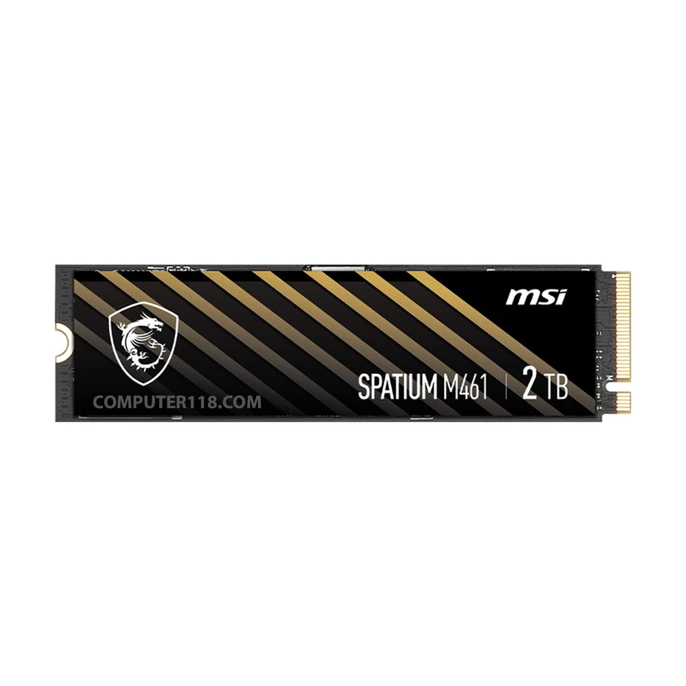 اس اس دی اینترنال ام اس آی مدل M461 ظرفیت دو ترابایت